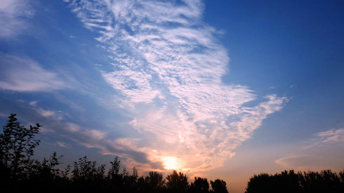 北京誠(chéng)敬仁2014年暑期德藝書(shū)法篆刻培訓(xùn)班