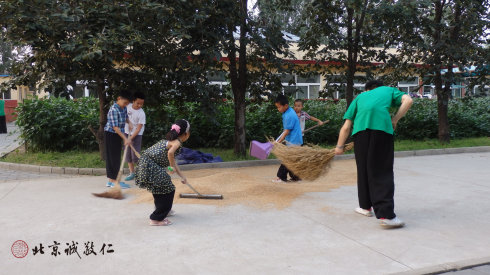 小學(xué)員參加勞動(dòng)，體會(huì)農(nóng)民伯伯的辛勞和一餐一粟來(lái)之不易。