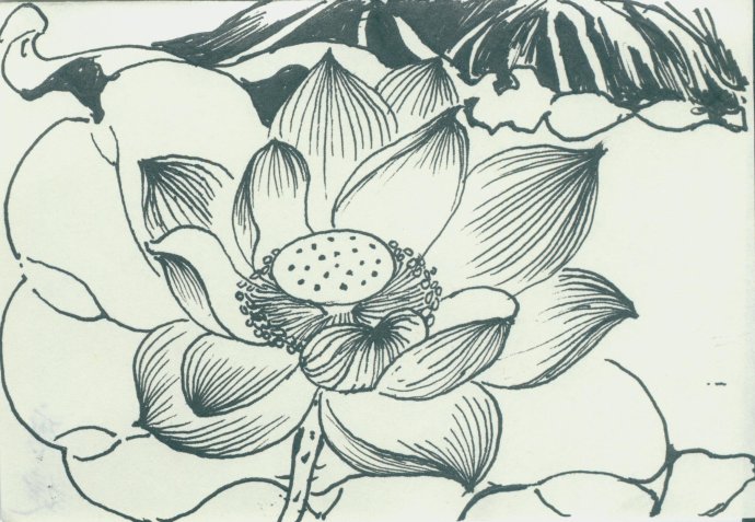 配圖：學員硬筆國畫習作展示