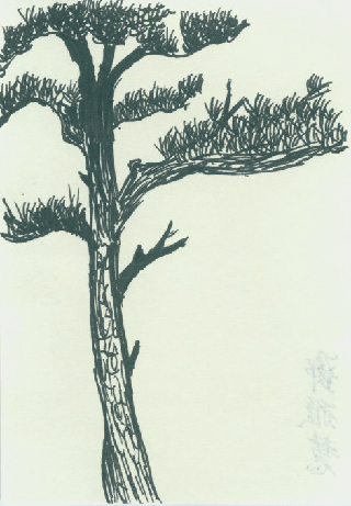 配圖：學員硬筆國畫習作展示