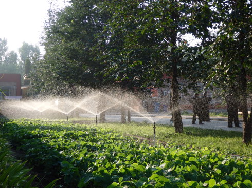北京誠(chéng)敬仁通州小院夏日即景
