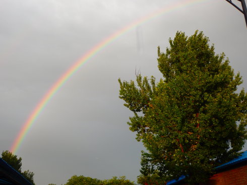北京誠(chéng)敬仁通州小院夏日即景
