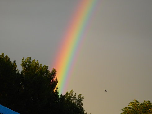 北京誠(chéng)敬仁通州小院即景