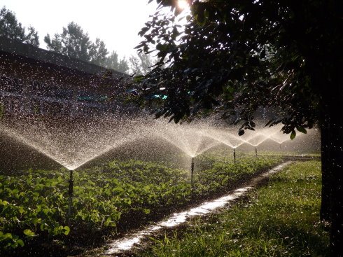 北京誠(chéng)敬仁通州小院即景