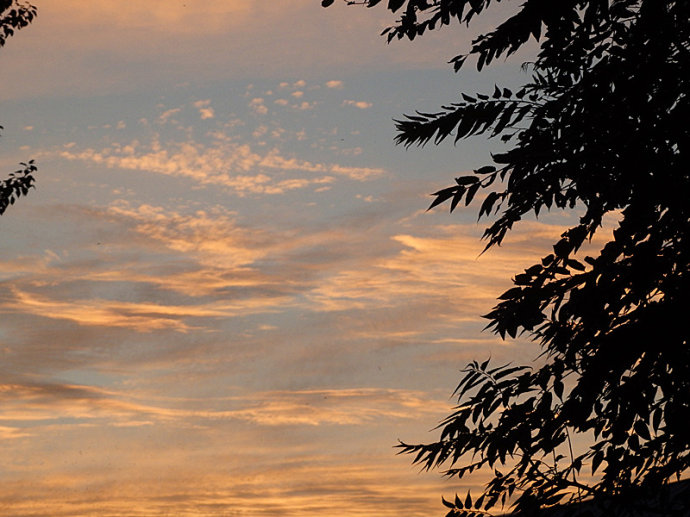 天高云舒海潮聲