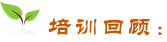 培訓(xùn)回顧