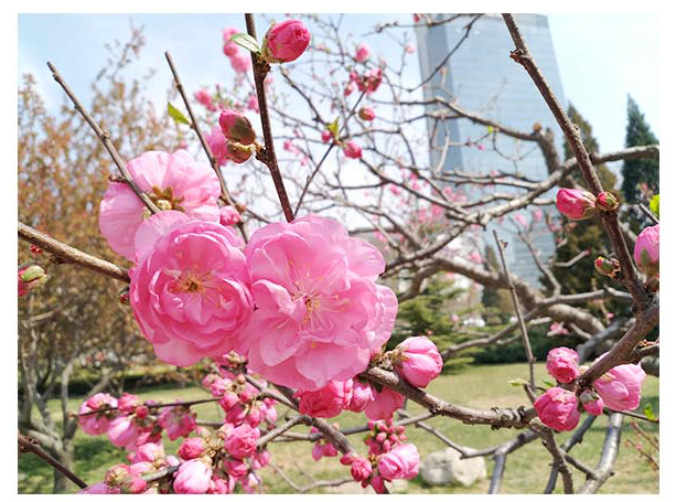 他們似乎更加懂事,體貼身邊人了!